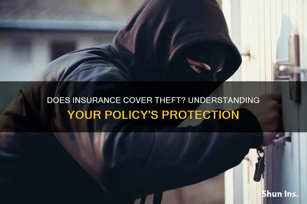 does insurance covet theft