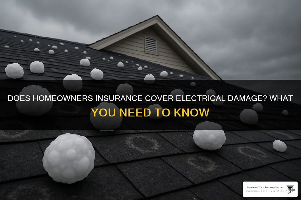 does insurance deal with electricity