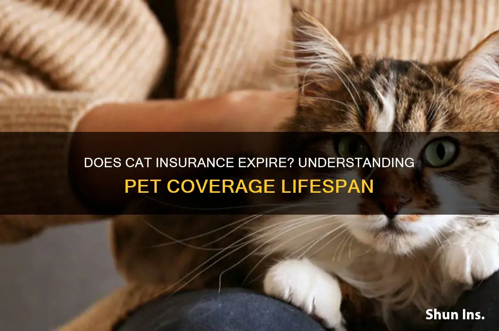 does insurance expire cat