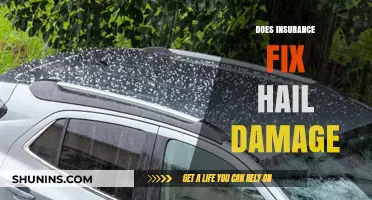 Does Insurance Cover Hail Damage? What You Need to Know
