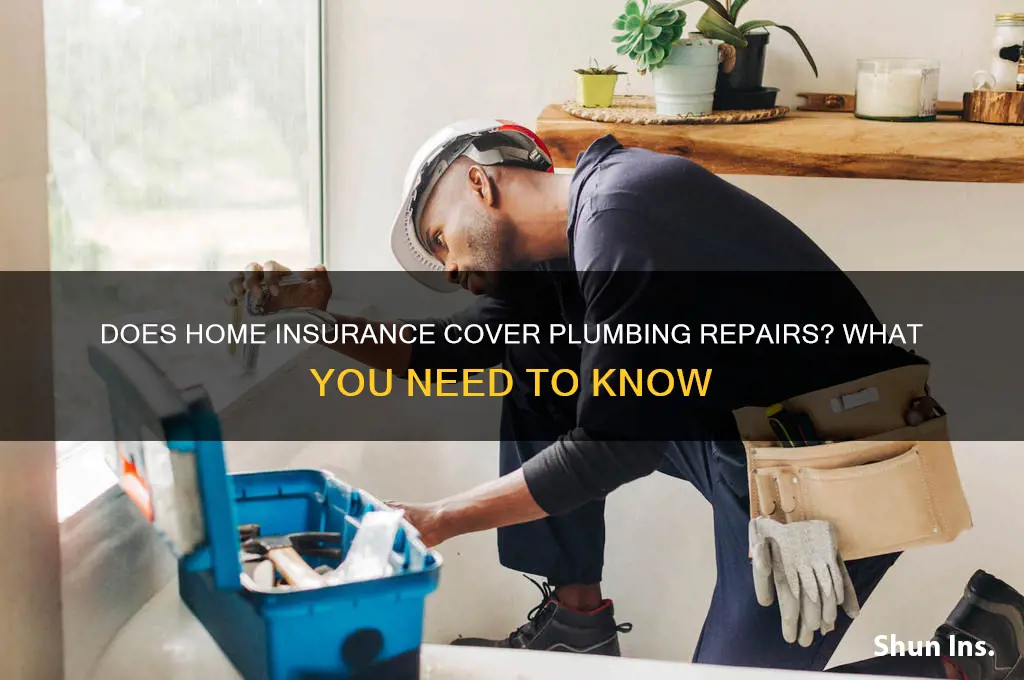 does insurance fix plumbing problems