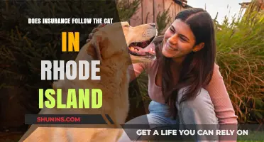 Does Insurance Follow the Cat in Rhode Island? Key Facts