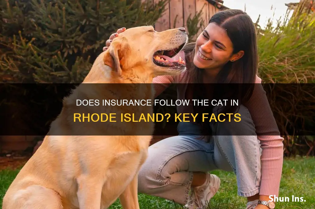 does insurance follow the cat in rhode island