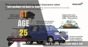 Male Drivers: Cheaper Insurance After 25?