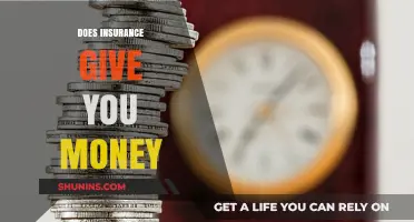 Insurance Payouts: When and How to Get Money