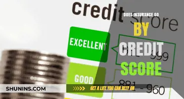 How Credit Score Impacts Your Insurance Rates