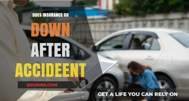 Insurance Rates: Accidents and their Impact