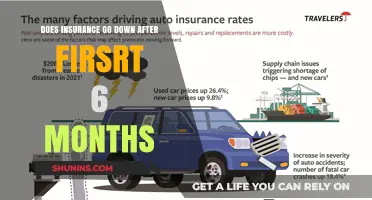 Understanding Insurance Rates: The First Six Months