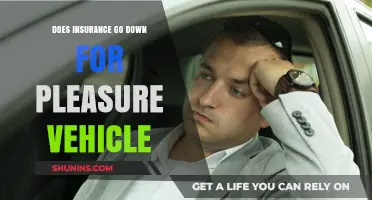How Pleasure Vehicles Can Reduce Insurance Costs