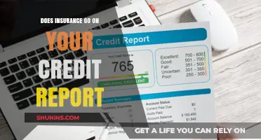 Credit Report and Insurance: What's the Connection?