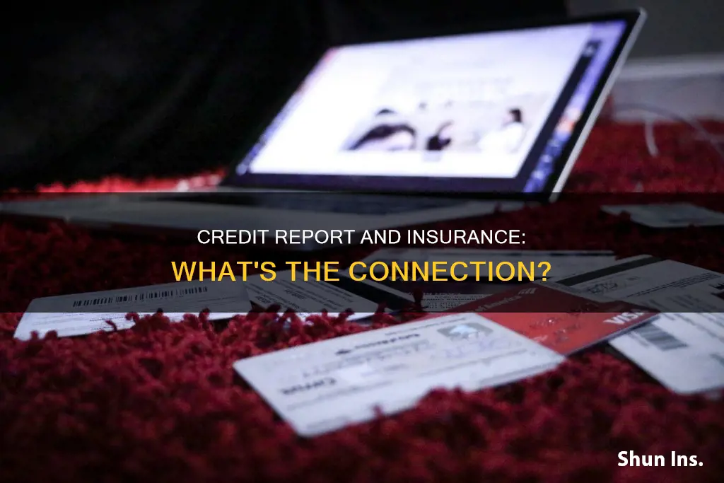 does insurance go on your credit report