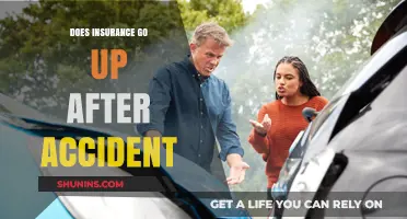 Car Accident: Will My Insurance Premium Increase?