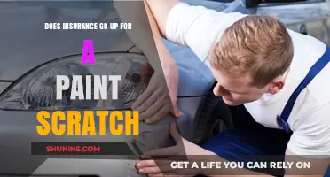 Car Scratches: Insurance Premiums and Repair Costs