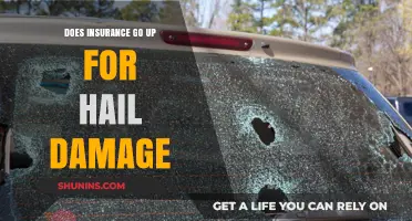 Hail Damage and Insurance: What's the Cost?