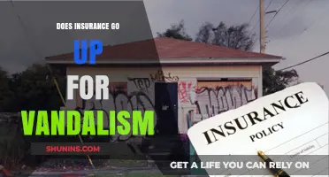 Vandalism and Insurance: What's the Cost of Repair?