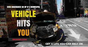 Municipal Accidents: Insurance Hike After Being Hit by a City Vehicle?