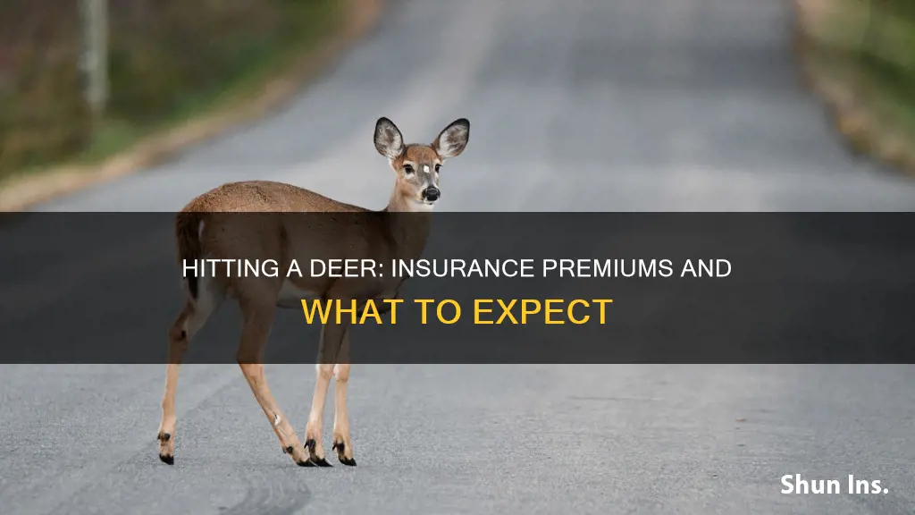 does insurance go up if you hit a deer