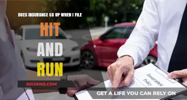 Hit-and-Run: Will My Insurance Rates Increase?