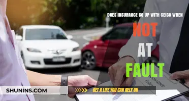 Geico Rates: What to Know About Fault and Insurance Hikes