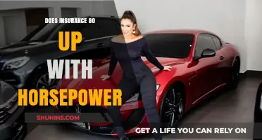 Horsepower and Insurance: A Costly Relationship