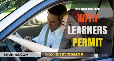 Understanding Insurance Premiums for Learner Drivers