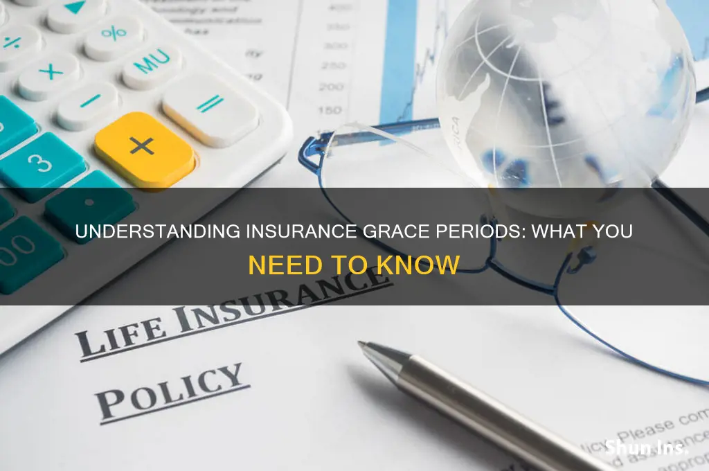 does insurance have a grace period