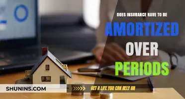 Amortizing Insurance: Understanding the Necessity of Period-Based Allocation