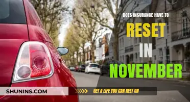 Does Insurance Reset in November? Understanding Annual Policy Renewals