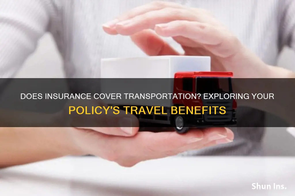 does insurance have transportation