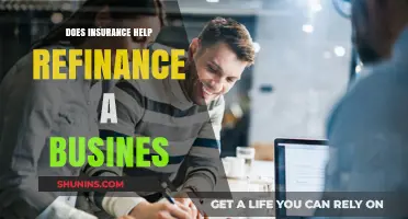 Can Insurance Policies Facilitate Business Refinancing? Exploring the Connection