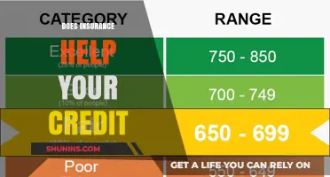Does Insurance Impact Your Credit Score? Understanding the Connection