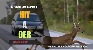 Will My Insurance Premiums Rise After Hitting a Deer?