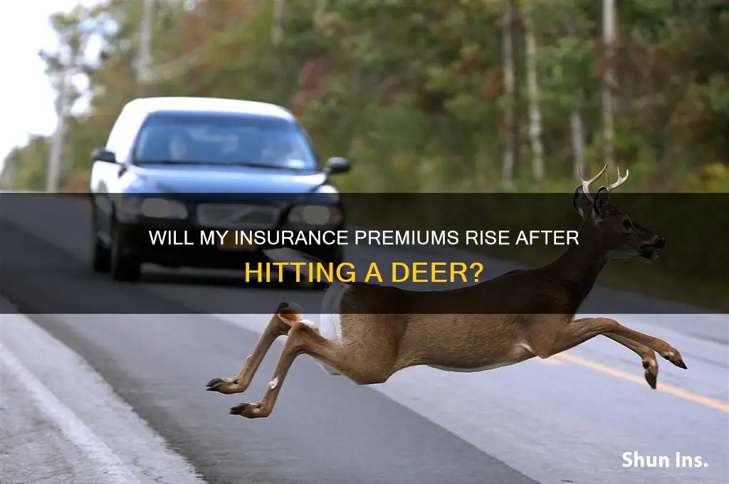 does insurance increase if i hit a der