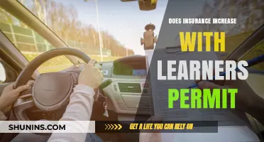 Does Insurance Increase with a Learner's Permit? What to Know