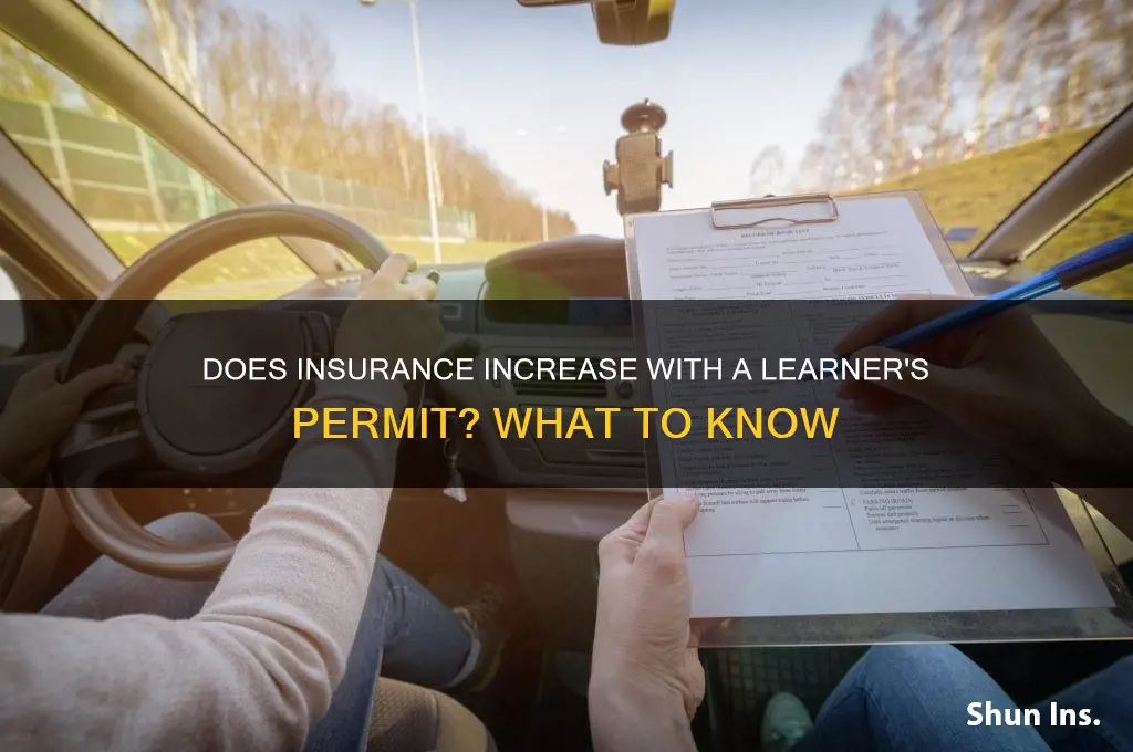 does insurance increase with learners permit