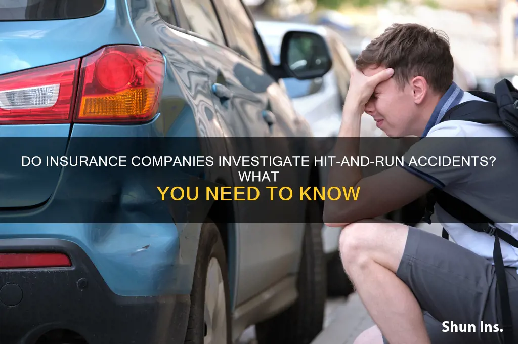 does insurance investigate hit and run