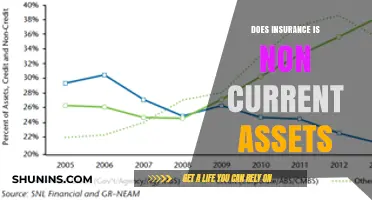 Is Insurance a Non-Current Asset? Understanding Its Classification