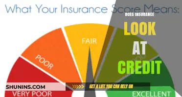 Does Credit Score Impact Insurance Rates? Understanding the Connection