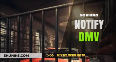 Does Insurance Notify DMV? Understanding the Process and Your Responsibilities