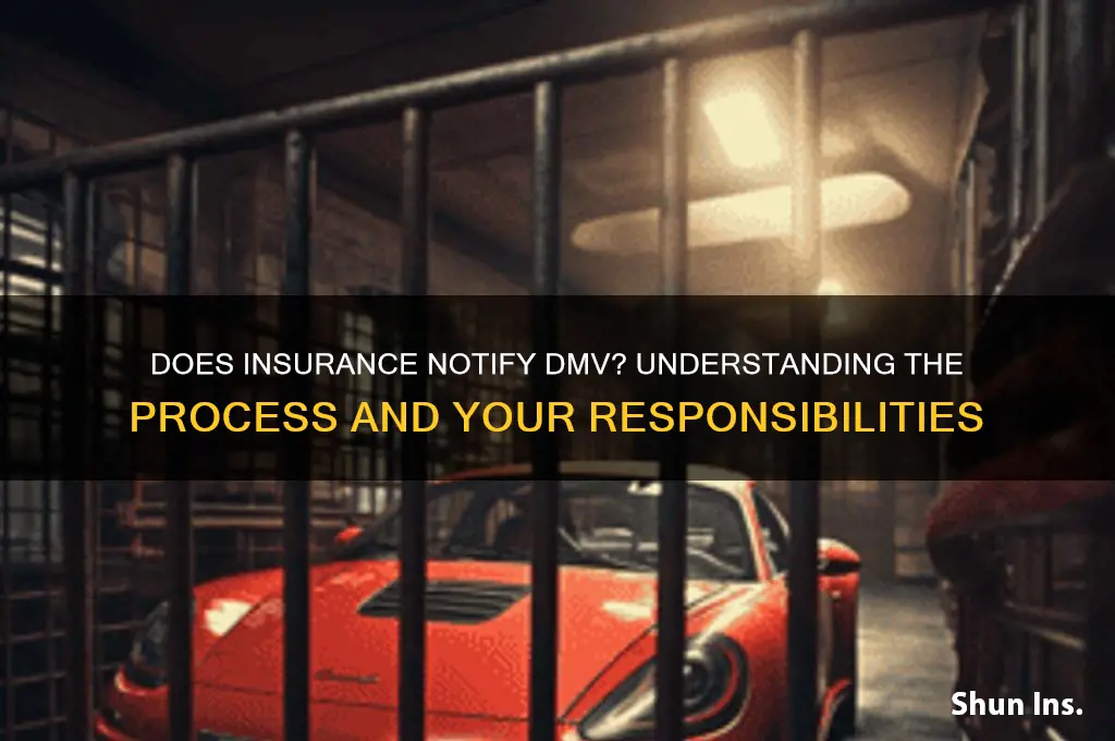 does insurance notify dmv
