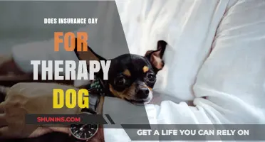 Does Insurance Cover Therapy Dogs? Exploring Costs and Coverage Options