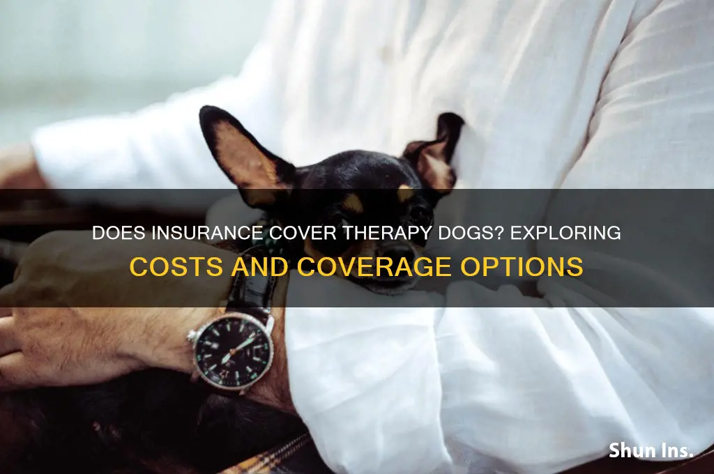 does insurance oay for therapy dog