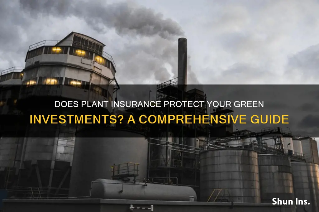 does insurance on the plant