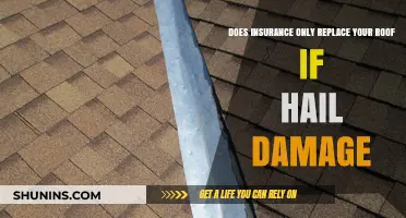 Hail Damage and Roof Replacement: What Your Insurance Really Covers