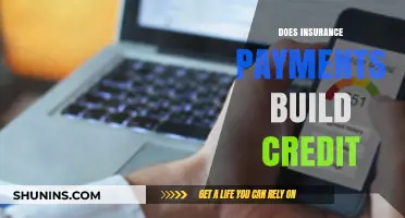 Insurance Payments: Credit Score Impact?
