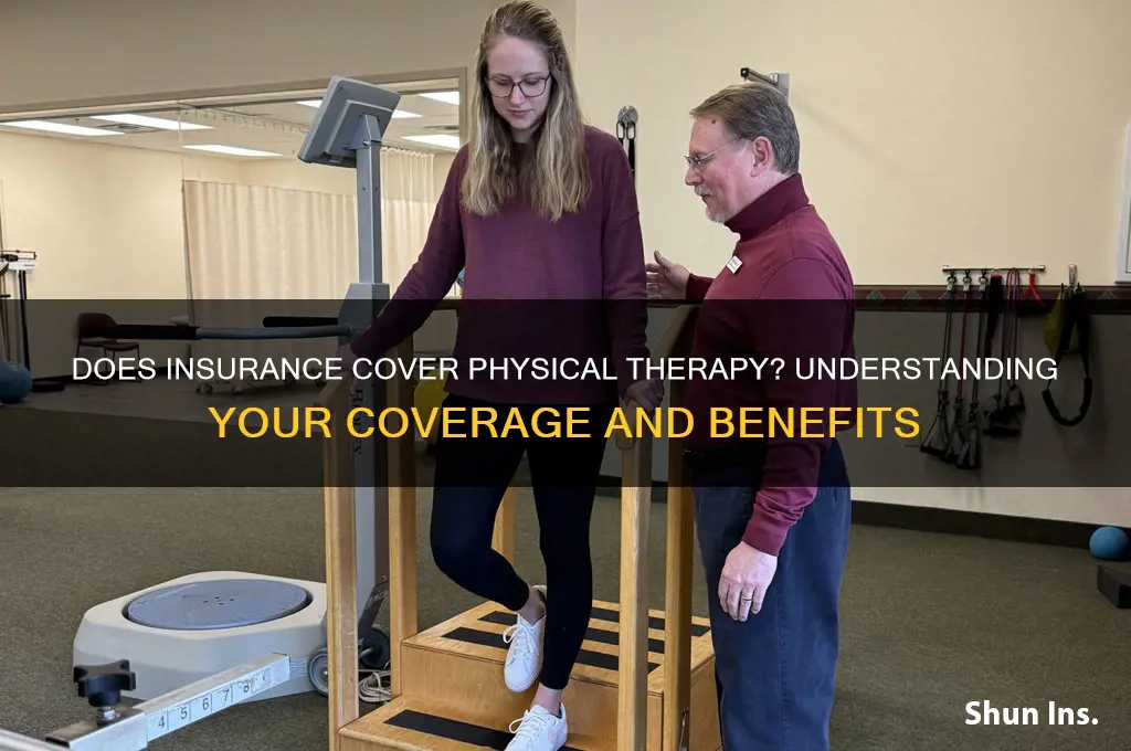 does insurance physical therapy