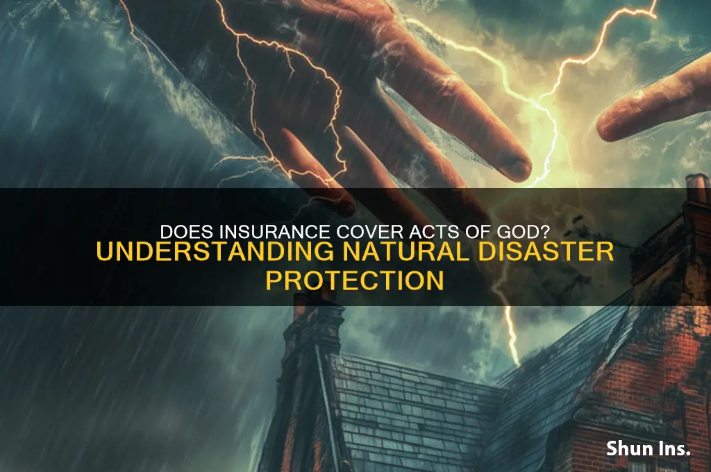 does insurance protect acts of god