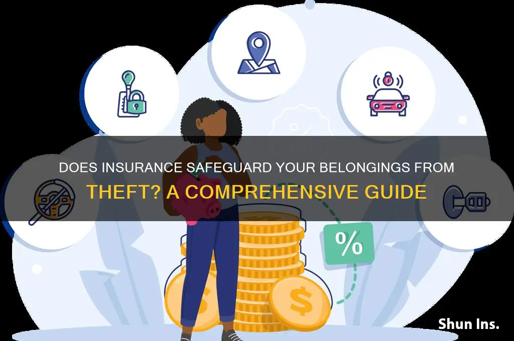 does insurance protect against theft