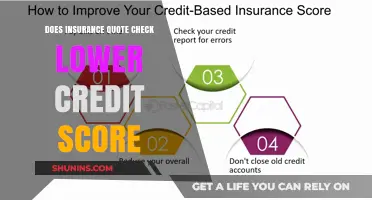 Credit Score and Insurance Quotes: What's the Link?