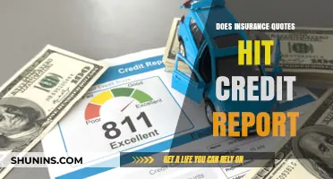 Insurance Quotes: Credit Score Impact and Reports
